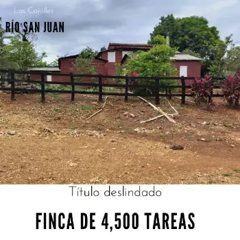 Finca de 4500 tareas ganaderas con más de 700 tareas sembradas de plát