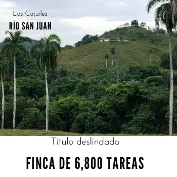 Finca de 6800 tareas con vocación agrícola y ganadera en río san juan