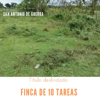 Finca de 10 tareas ideal para tu casa campestre   ubicada en el mismo
