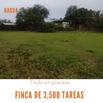 Finca de 3500 tareas ganaderas y sembrada de cocó en nagua
