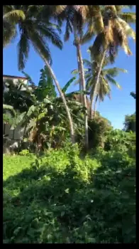 Solar residencial en puerto plata.