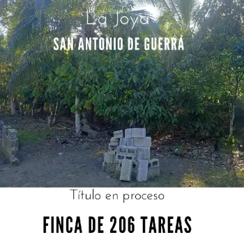 Finca de 206 tareas con vocación agrícola y ganadera en san antonio de