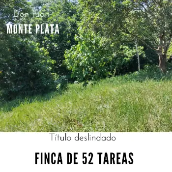 Finca de 52 tareas con vocación agrícola y ganadera en monte plata