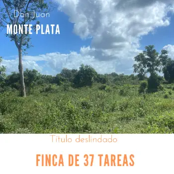 Finca de 37 tareas con vocación agrícola en monte plata