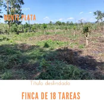 Finca de 18 tareas agrícola ideal para casas campestres en monte plata