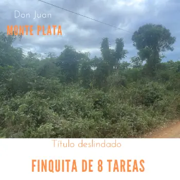 Finquita de 8 tareas agrícolas en monte plata
