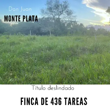 Finca de 436 tareas vocación ganadera y agrícola  en monte plata