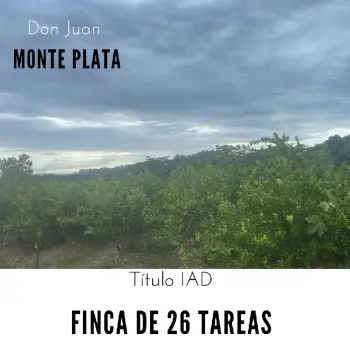 Finca de 26 tareas sembradas de limón en monte plata