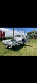 Guagua platanera 2008