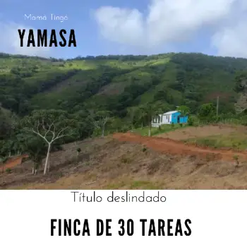 Finca de 30 tareas con casa campestre en yamasá