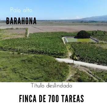Finca de 700 tareas  de guineos totalmente equipada en barahona