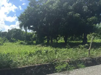 Amplio solar en venta en carretera hacia loma linda- pedro brand