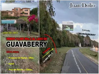 Vendo 14000 mts.2 de terreno justo al lado de guavaberry en juan dolio