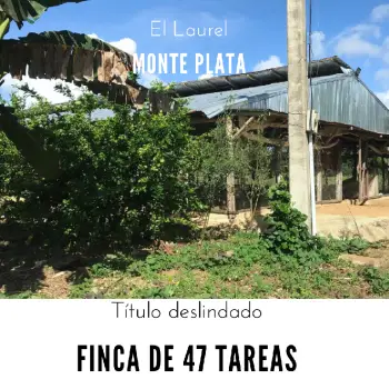 Finca de 47 tareas con granja de pollos en monte plata