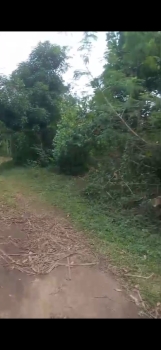 Finca en venta monte plata98