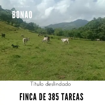 Vendo una finca de 385 tareas ganadera con vocación agrícola en bonao
