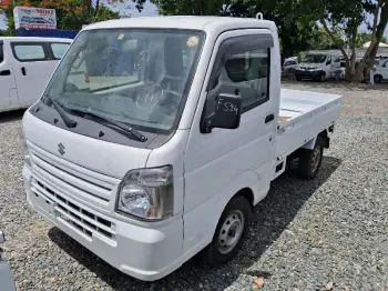 Suzuki carry 2019 platanera