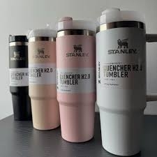 Thermo stanley h2.0