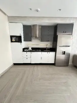 Apartamento de 1 habitacion nuevo en alquiler en el naco