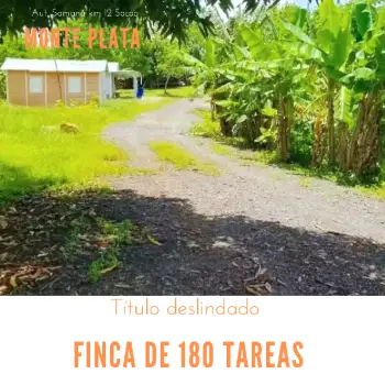 Finca de 180 tareas con casas campestres y agrícola monte plata