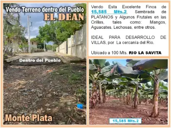 Vendo 15585 mts.2 sembrado de platanos y dentro del pueblo del dean mo