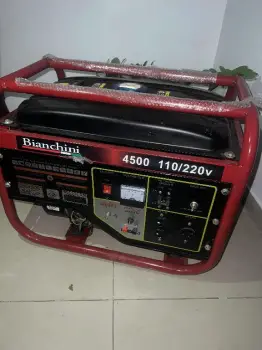 Planta eléctrica bianchini