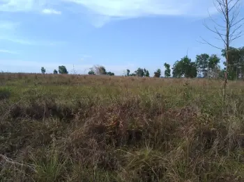 Finca en venta bayaguana50