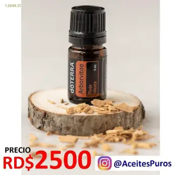 Aceite de canada arbol vitae arborvitae tuja thuja puro original marca