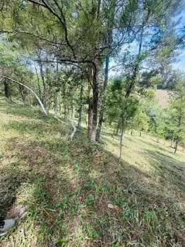 Solar con vista espectacular en venta en jarabacoa