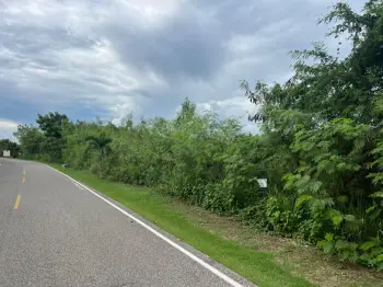 Solar en venta en playa nueva romana campo de golf