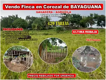 Vendo finca 429 tareas en bayaguana ultima rebaja cerca de la casa clu