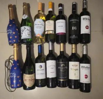 Coleccion vino y bebidas 14 botellas solo 2995 vino bebida