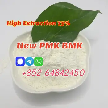 Pmk powder/pmk oil  cas28578–16–7  pmk ethyl glycidate powder