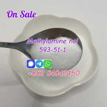 Factory supply chemical raw material methylamine  hcl cas593-51