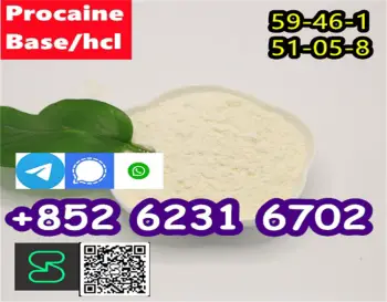 Hot sale procaine base cas 59-46-1 /51-05-8 / procaine hcl and base in