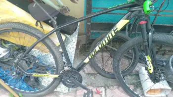Bicicleta dolomite aro 29