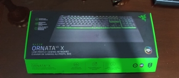 Teclado razer ornata v3 x