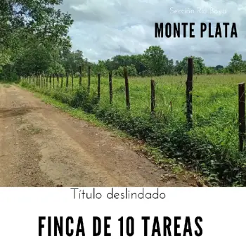 Finca de 10 tareas ideal para su casa campestre
