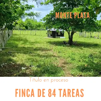 Finca de 84 tareas con vocación agrícola y ganadera en monte plata