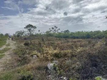 Oportunidad única en nueva esperanza boca chica!