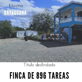 Finca de 896 tareas ganaderas con vocación agrícola totalmente llana a