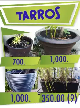 Tarros diferentes precios ver imagen