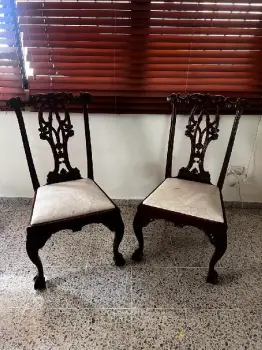 Sillas en caobas