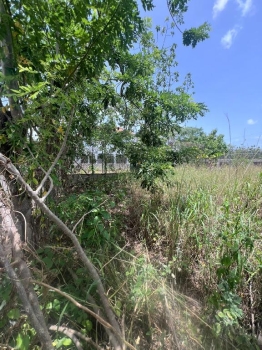 ???? venta de 2 solares en urbanización brisas del valle las charcas s