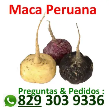 Maca roja maca negra maca organica amarilla peruana en republica domin