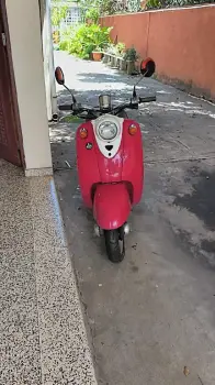 Pasola yamaha vino