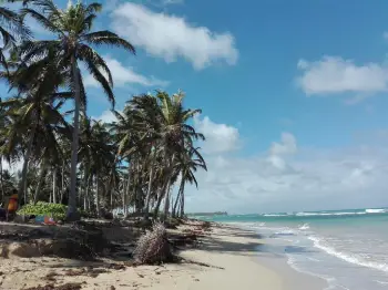 Vendo terreno ideal para inversión en uvero alto punta cana