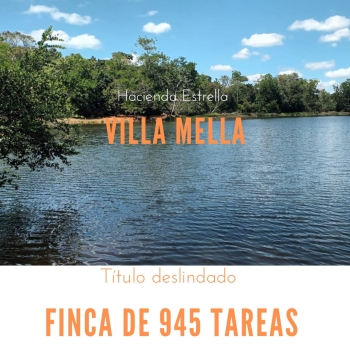 Finca de 945 tareas con vocación agrícola y ganadera en hacienda estre