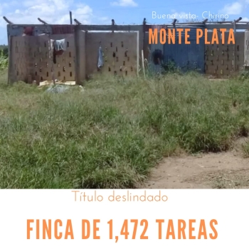 Finca de 1472 tareas con vocación agrícola y ganadera en monte plata