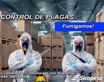 Control de plagas - servicio fumigación residencial y comercial
